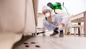 Best Emergency Pest Control  in Boyne City, MI